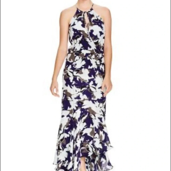 PARKER NEW YORK NWT Francesca Belize Maxi Dress - Picture 1 of 11